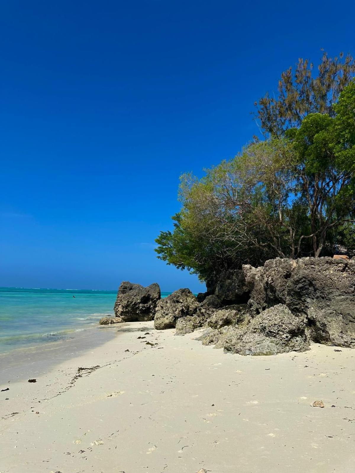 Taj Nungwi Hotel Banda Kuu المظهر الخارجي الصورة